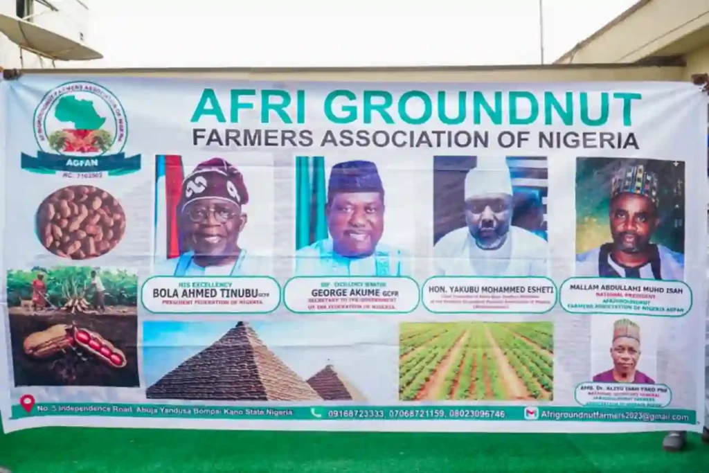 FG, AGFAN partner to create jobs through groundnut production
