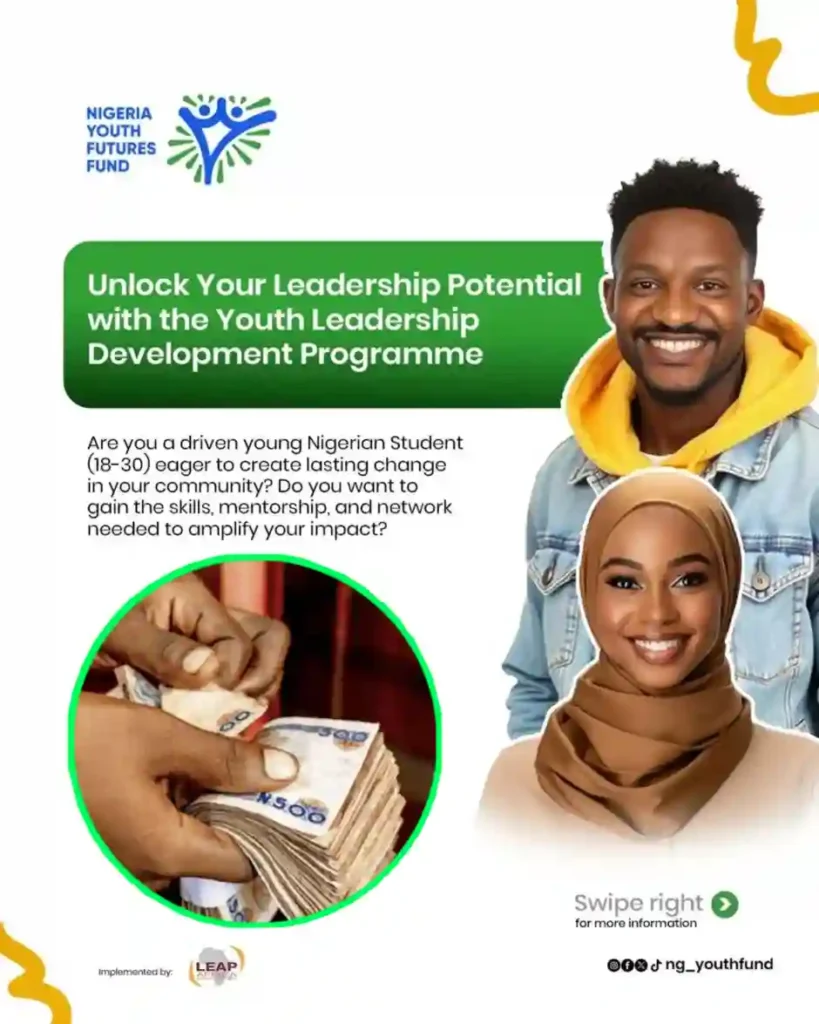 Youth Leadership Development Programme (YLDP) 2026 for Nigerian Undergraduates