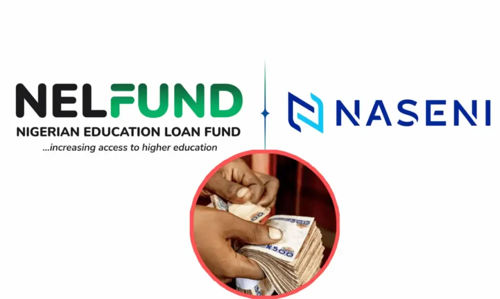 NASENI, NELFUND Partner to Train Youths with Skills and Funding
