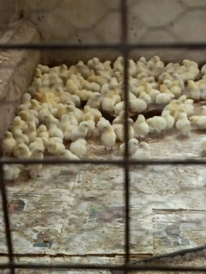 PicsArt_04-06-08.03.59