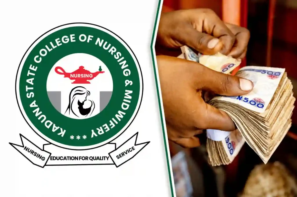 Kaduna College of Nursing begins N70,000 payment for scholarship beneficiaries
