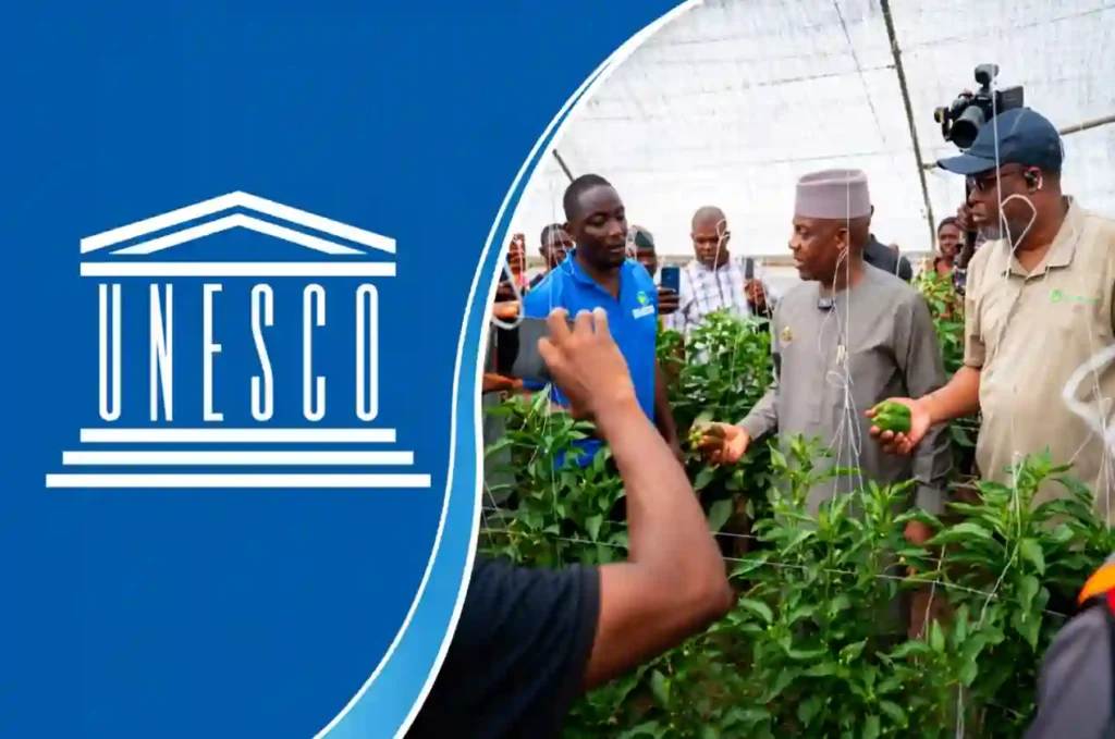 UNESCO urges FG to prioritise TVET to close agro-processing skills gap