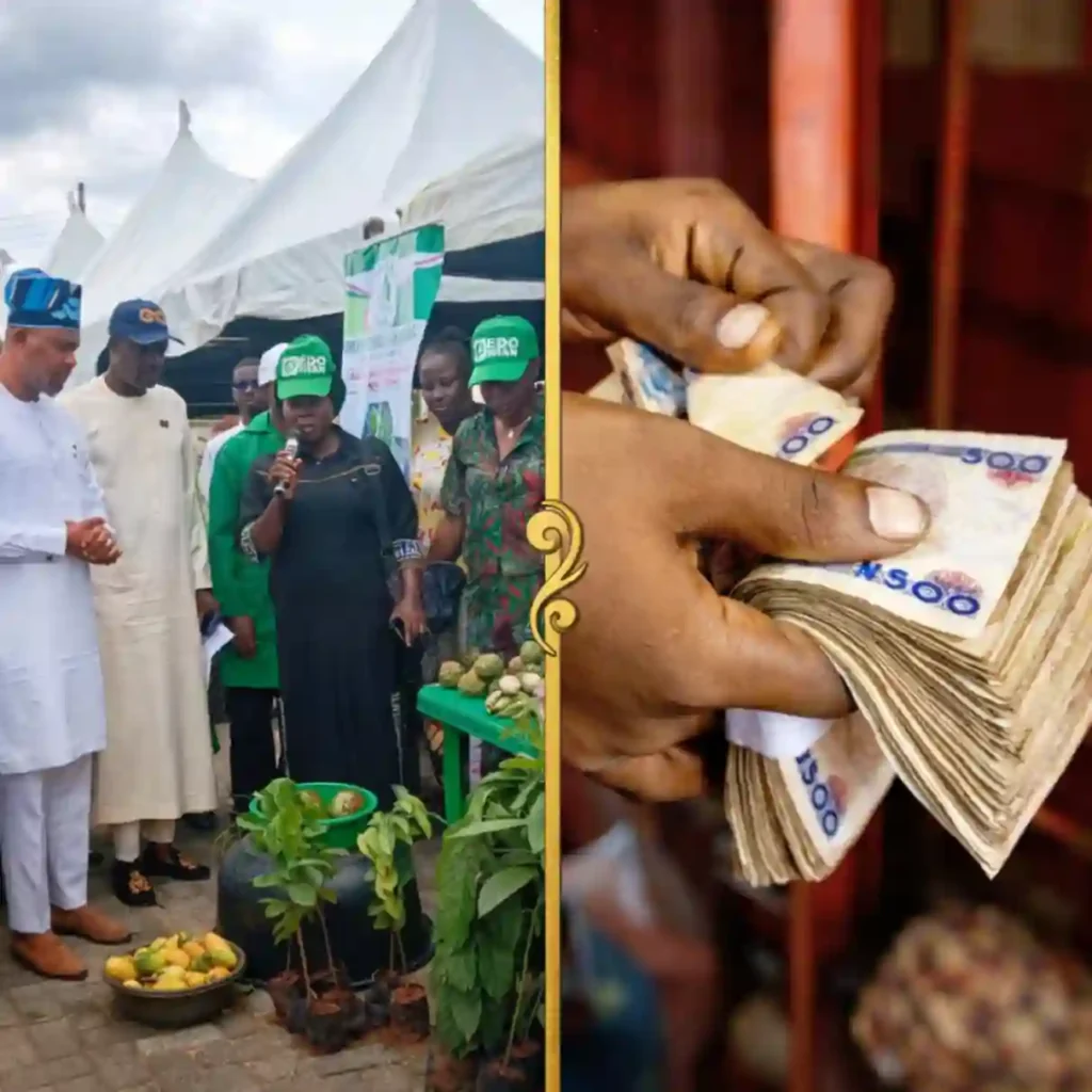 Edo flags off 2026 Back-to-Farm scheme, distributes farm inputs