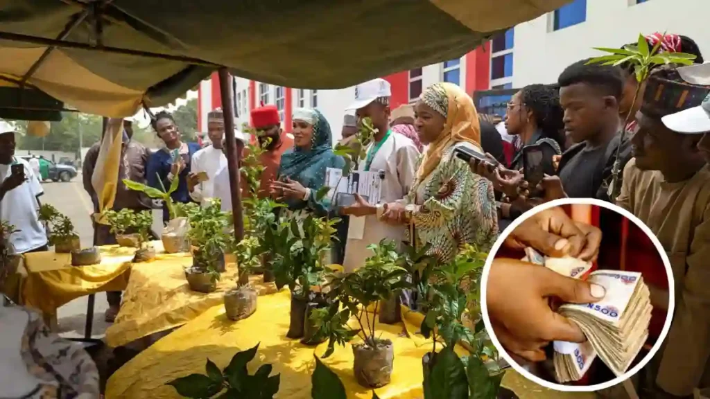 NACCIMA launches 20 million economic trees initiative to boost wealth creation