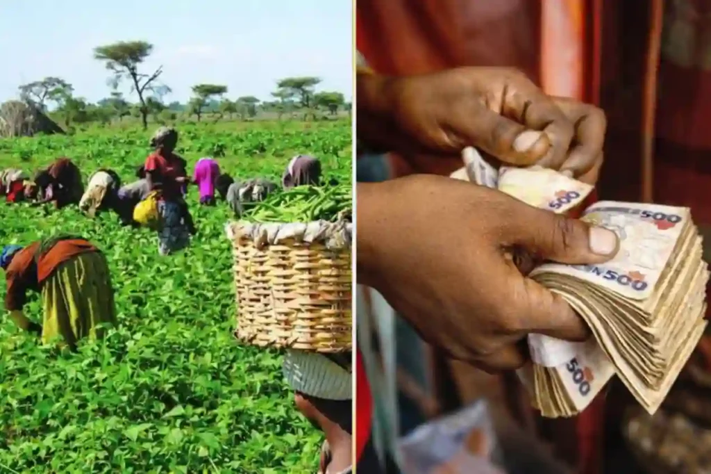 Ekiti residents to benefit as Agbeyewa, monarchs expand agriculture jobs