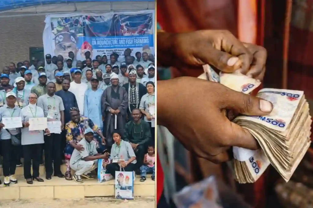 Osun youths trained in fisheries, receive ₦7.5m grants for business start-up