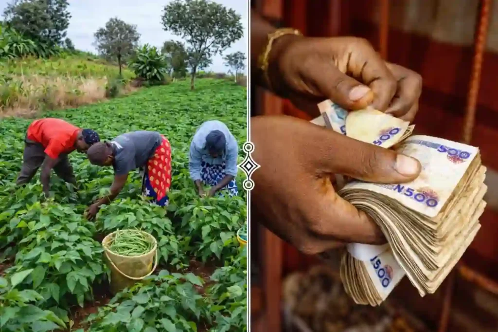 Ekiti approves ₦2.6bn for land clearing, warehouses under BBYA programme