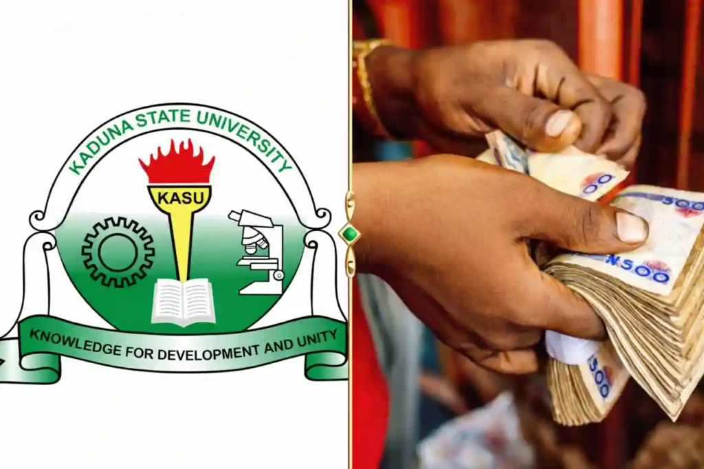 Apply: Kaduna State University ECoN Programme for market-ready innovations