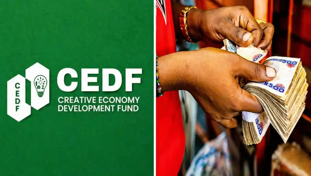 FG to Contact CEDF Grant Applicants for Next Steps