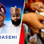 NASENI to launch clean energy empowerment programme in Kano