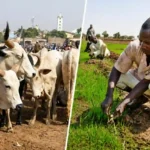 WEP trains 200 farmers, herders in Katsina and Benue