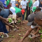 Cross River trains 400 on modern seed yam production with IITA support