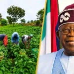 Tinubu Farmers’ Support Programme empowers 1,000 farmers in Ondo