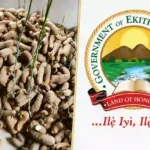 Ekiti Launches Yam Seed Support Programme for Farmers