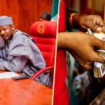 Katsina IGR Jumps from ₦400 Million to ₦3 Billion Monthly