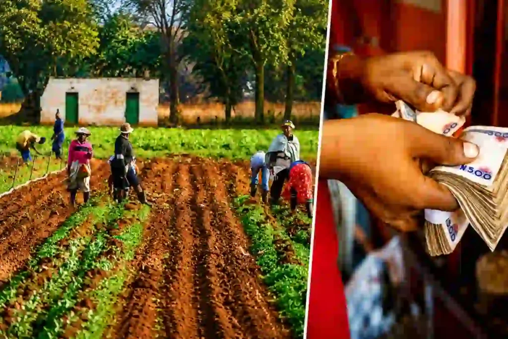 One Acre Fund Nigeria to Distribute Farm Inputs to 88,000 Niger Farmers