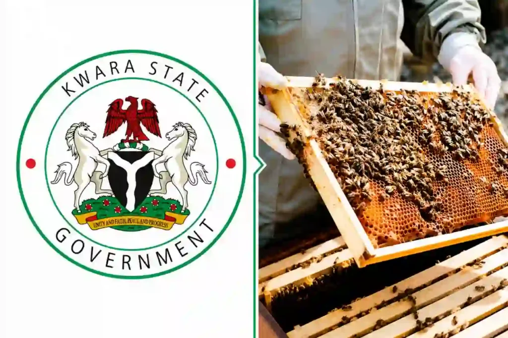 Kwara trains 50 Nigerians in beekeeping under livestock scheme