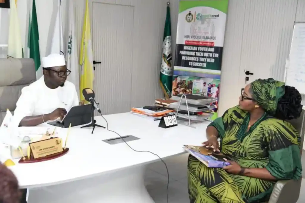 FG, UAE to Train 50,000 Nigerian Youths for Digital Jobs Nationwide