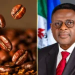 Cross River Begins Fresh Coffee Seedlings Distribution for Farmers
