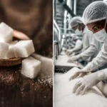 One Million Nigerians Could Get Jobs Through Sugar Industry – NSDC