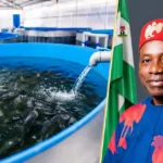 Anambra Launches Innovative Fish Production Partnership With Youth Cooperative