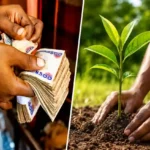 Lagos Unveils N2.5m Prize for Residents Who Grow Trees Successfully
