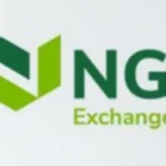 NGX Premium Board Requirements for Nigerian Companies