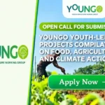 Apply for YOUNGO 2026 Youth Opportunity — Get Your Project Seen by UN, Funders