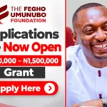 Apply for Fegho Umunubo Foundation’s ₦1 to 1.5 Million Creative Business Grants