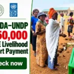 Check: KASEDA–UNDP ₦150,000 MSME Livelihood Support Payment for Beneficiaries