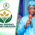 FG Sends ₦20,000 NERSI Payment Messages to Selected Beneficiaries — How to Accept